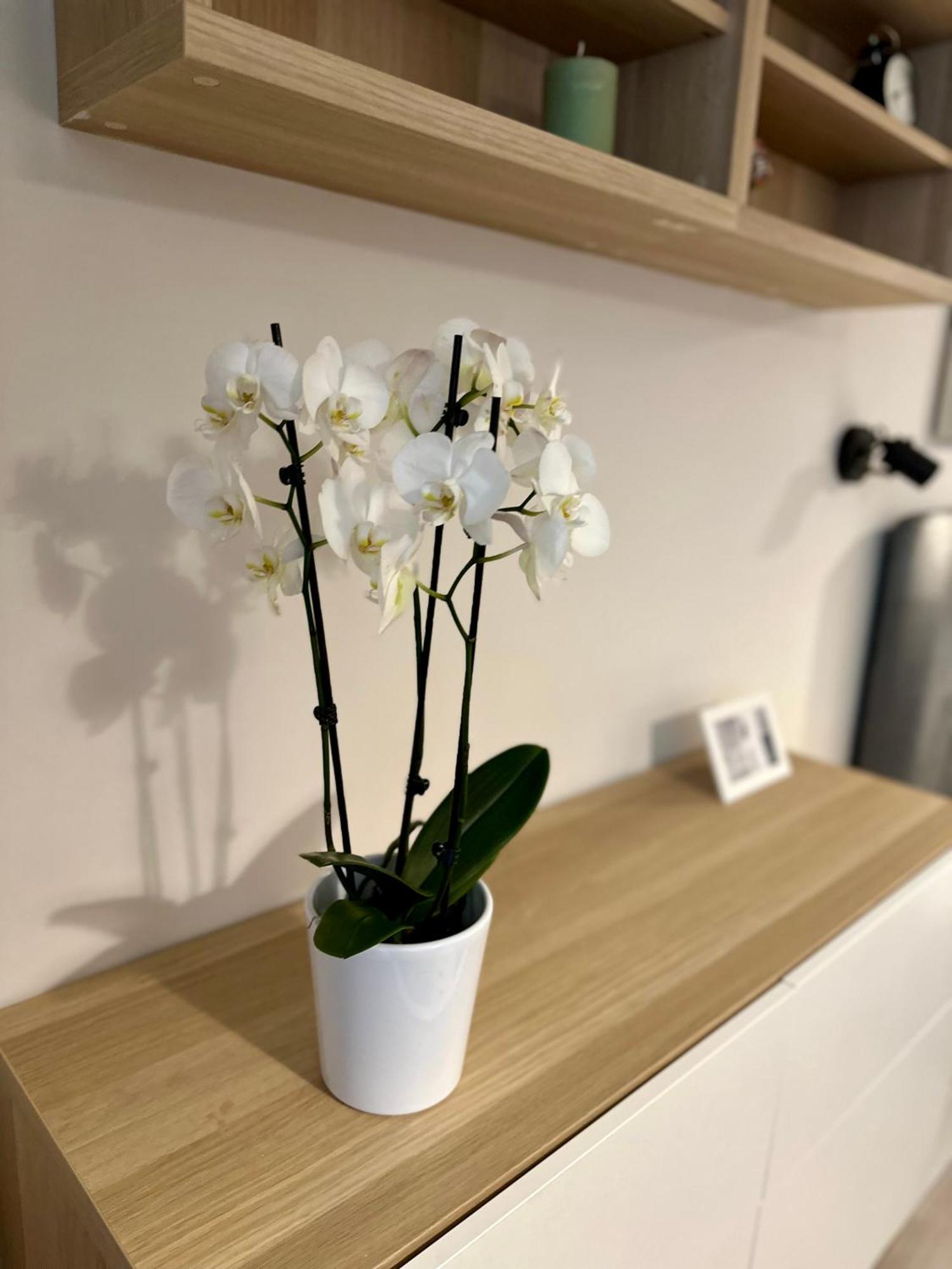 Serenity Studio Burgas Ngoại thất bức ảnh